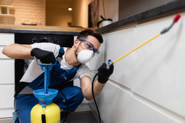Best Pest Control Near Me in Grand Haven, MI