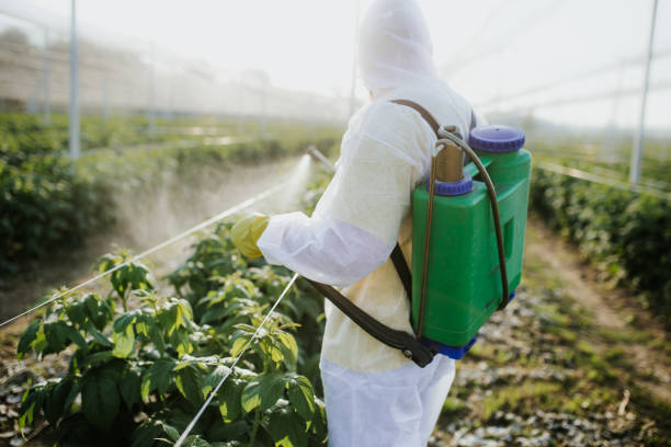 Best Commercial Pest Control Services  in Grand Haven, MI